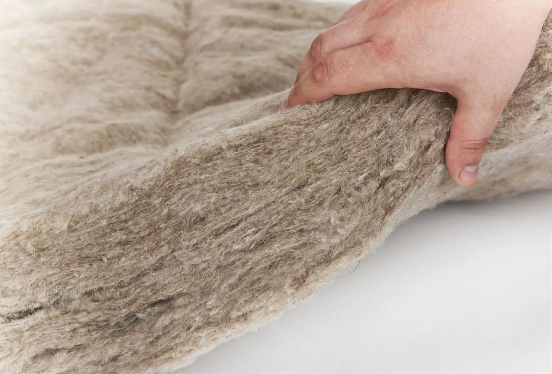 sheep wool